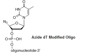 Bio-Synthesis Inc. Oligo Structure